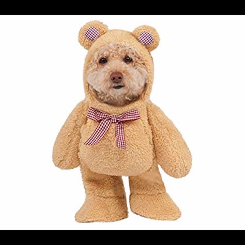 Dog costume